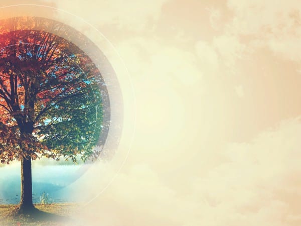 We Are Thankful Fall Christian Background