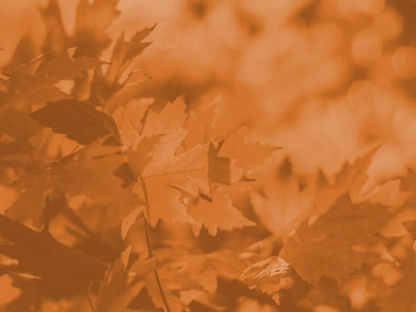 Happy Thanksgiving Wishes Christian Background