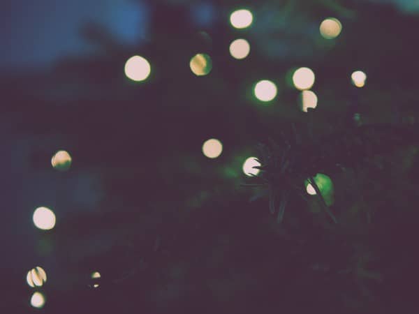 Christmas Tree Lights Church Worship Background