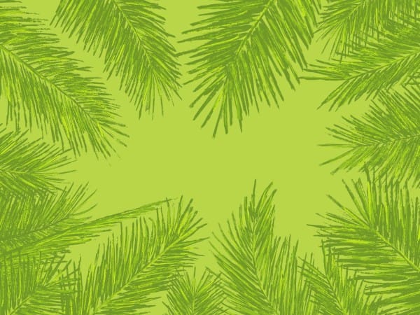 Palm Sunday Sermon Worship Background