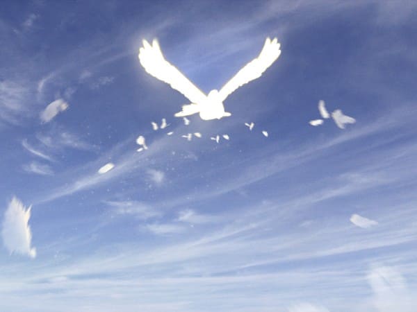 Easter Dove Christian Worship Background