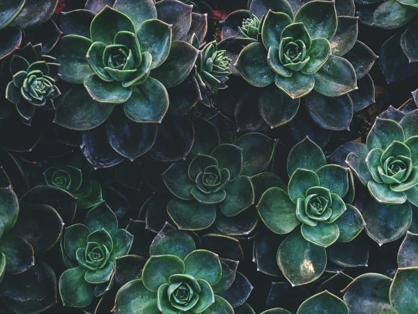 How Sweet The Sound Church Worship Background