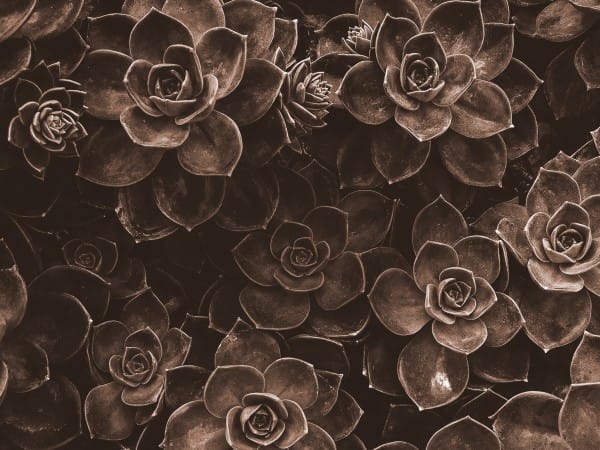How Sweet The Sound Sepia Worship Background