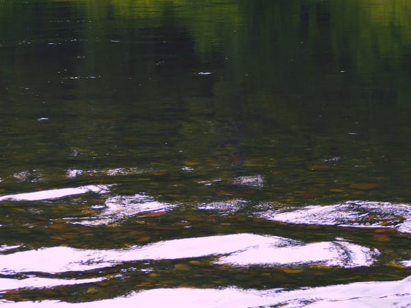 Serene River Nature Worship Background