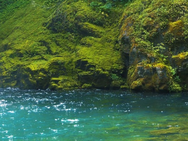River Lagoon Christian Worship Background