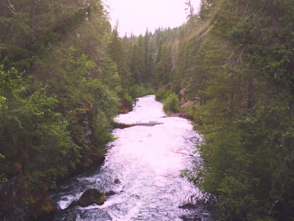 Sunlit River Nature Background