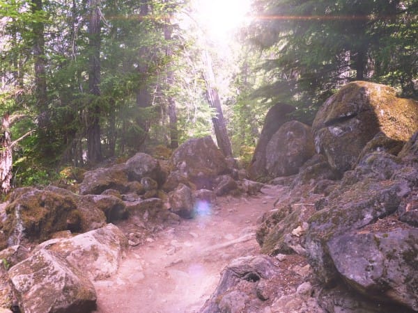 Nature Trail Church Worship Background