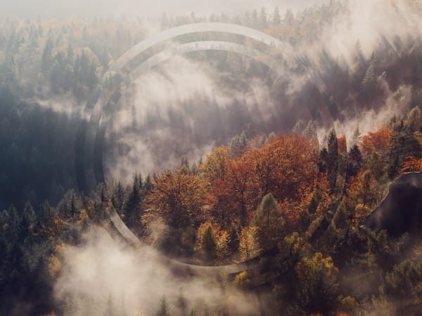 Made to Worship Fall Worship Background