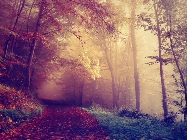Happy First Day Of Fall Christian Background