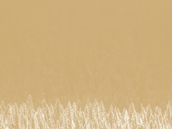 Golden Winter Christmas Worship Background