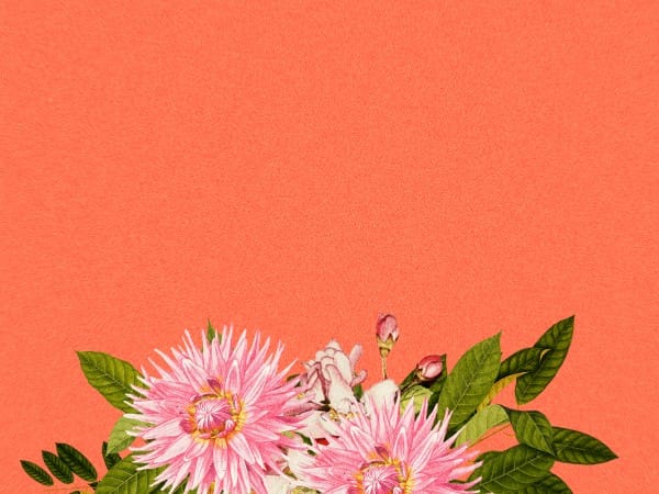 Mother's Day Flower Background Image