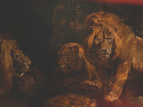 Book Of Daniel Lion's Den Church Worship Background
