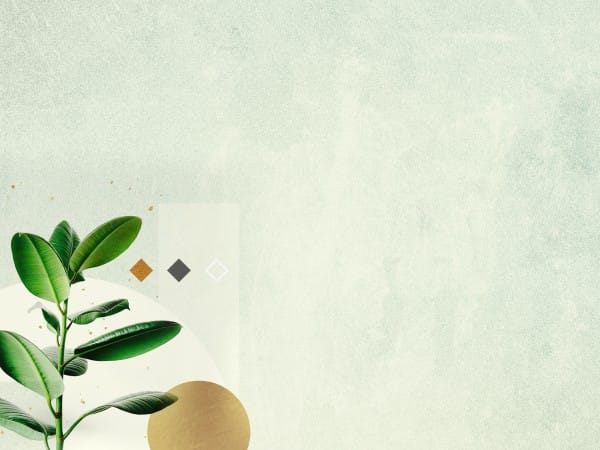 Let's Grow Together Church Worship Background