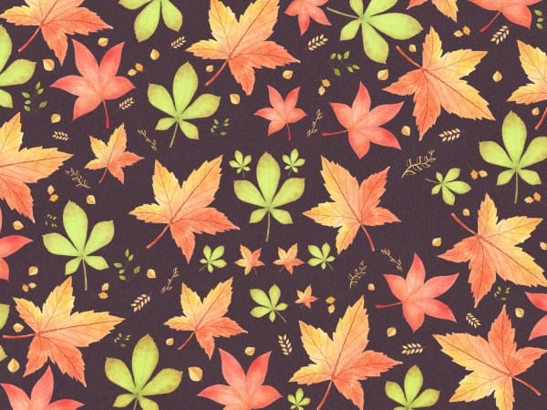 Happy Thanksgiving Holiday Worship Background