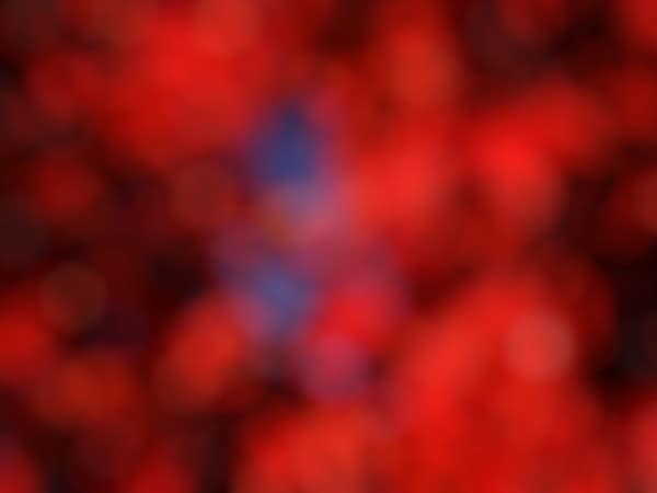 Red Bokeh Worship Background