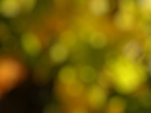 Yellow Bokeh Worship Background