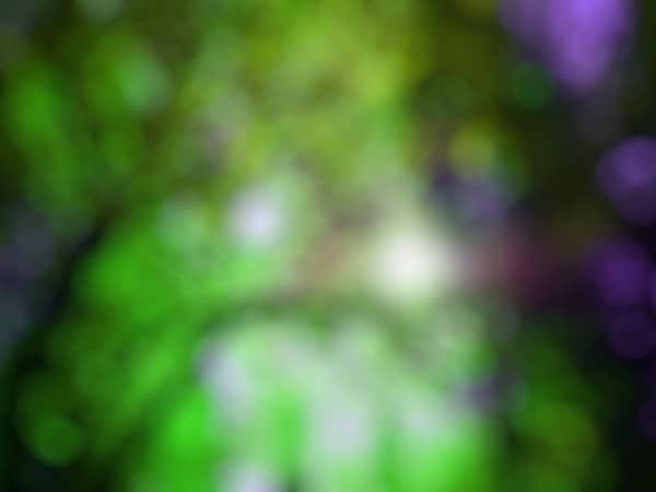 Leafy Green Bokeh Worship Background