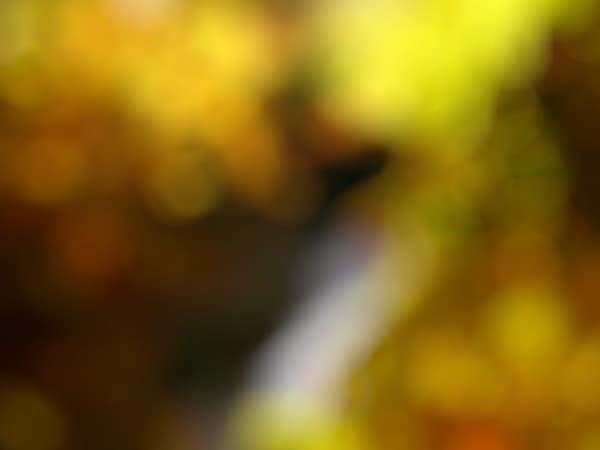 Deep Yellow Bokeh Worship Background