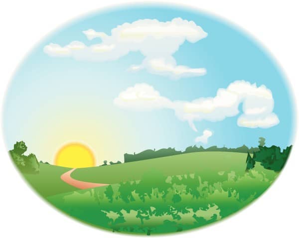 Spring Meadow at Dawn