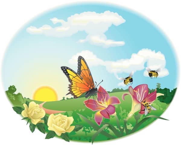 Spring Garden Scene