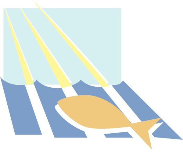 Fish and Rays of Light