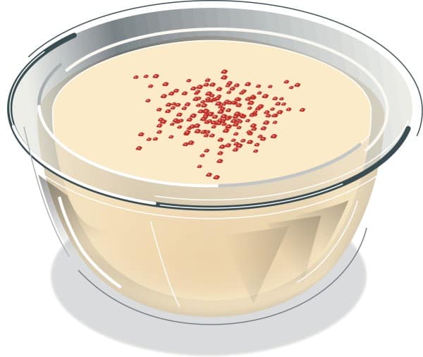 Bowl of Homemade Eggnog