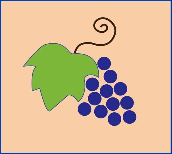 Grapes and Leaf in a Box