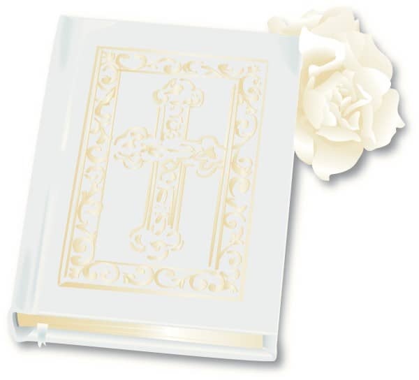 Realistic Bible and Rose