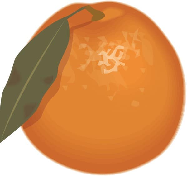 Colorful Orange and Green Leaf