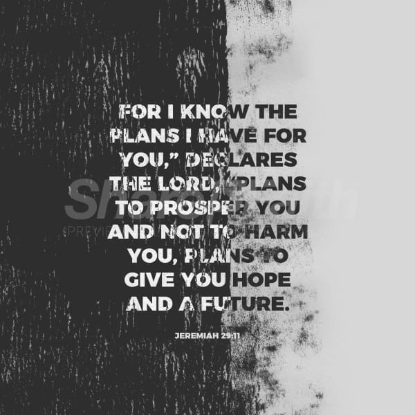 God's Plans Social Media Graphic