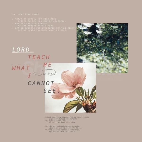 Teach Me Social Media Graphic