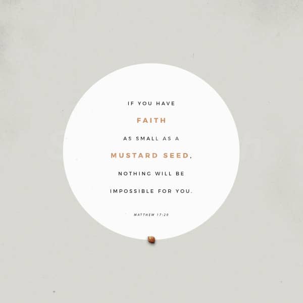Mustard Seed Social Media Graphic