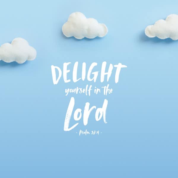 Delight Social Media Graphic