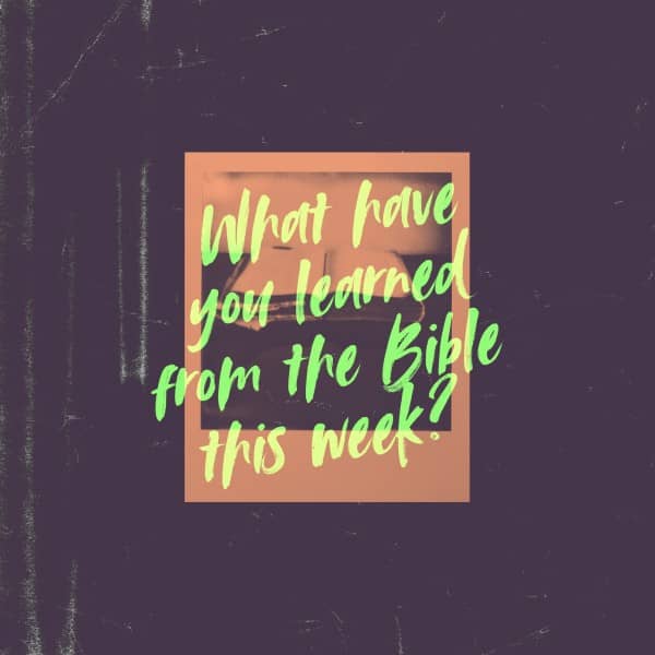 Bible Learn Social Media Graphic