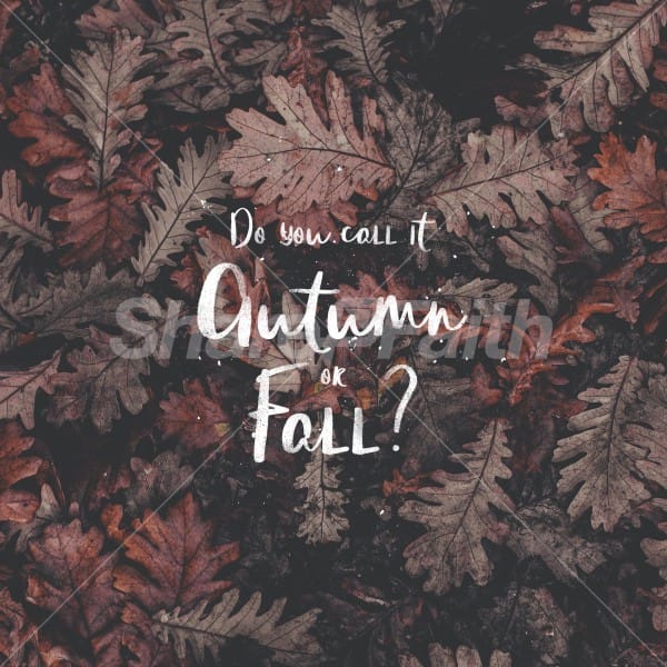 Autumn or Fall Social Graphics