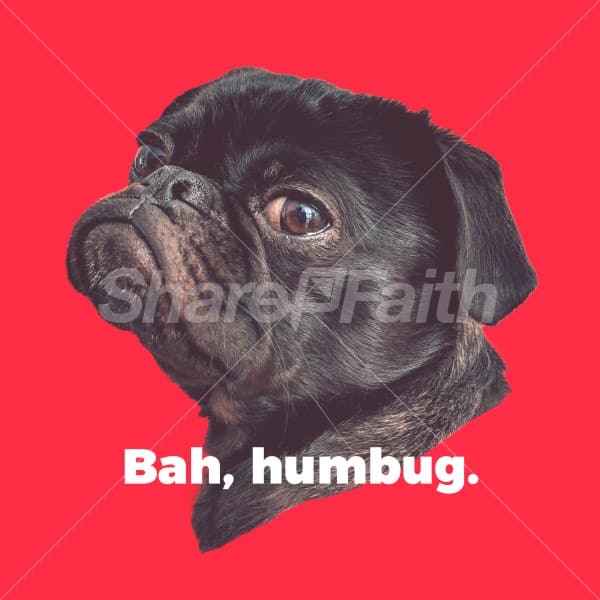 Humbug Social Media