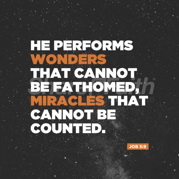 Wonders Social Media Graphic