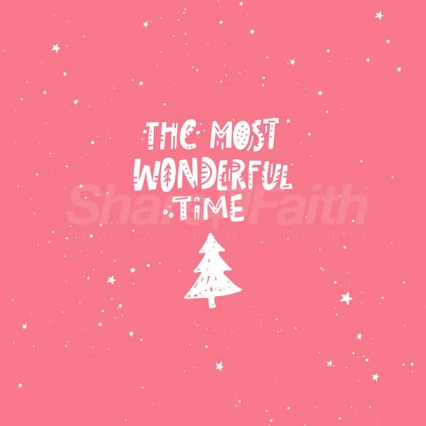 Most Wonderful Time Social Media Graphic