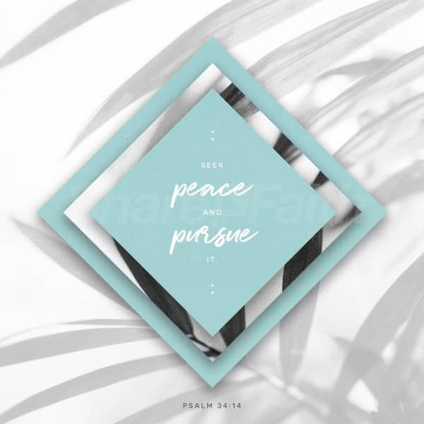 Seek Peace Social Media Graphic