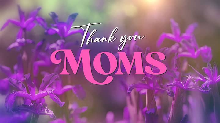 Mother's Day Garden: Thank You