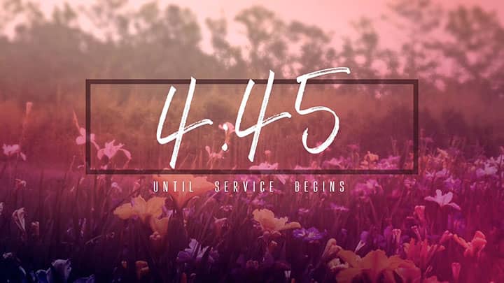 Wildflower Collection: Countdown