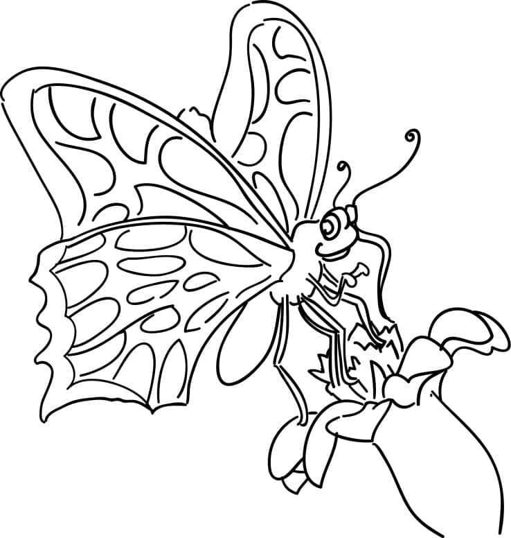 Cartoon Butterfly