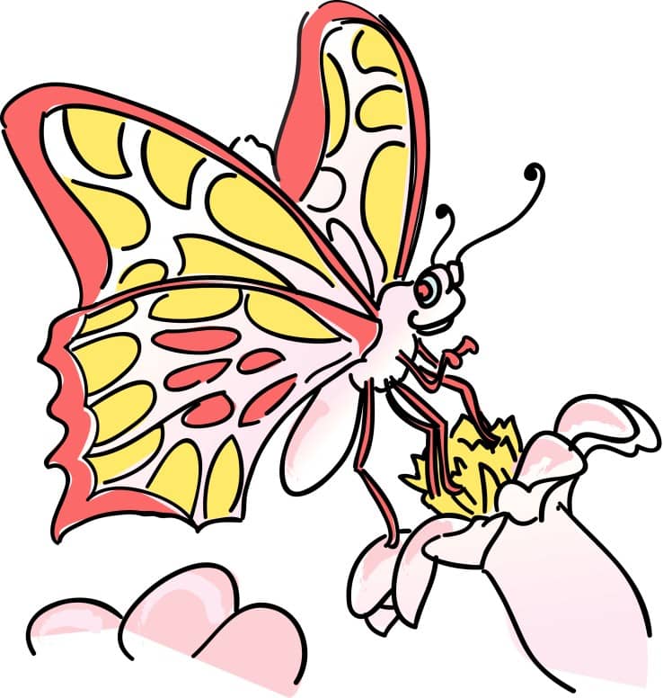 Friendly Butterfly on a Flower