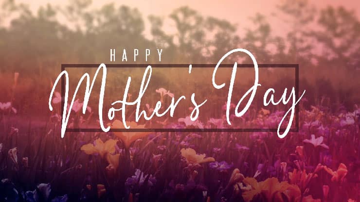 Wildflower Collection: Mothers Day