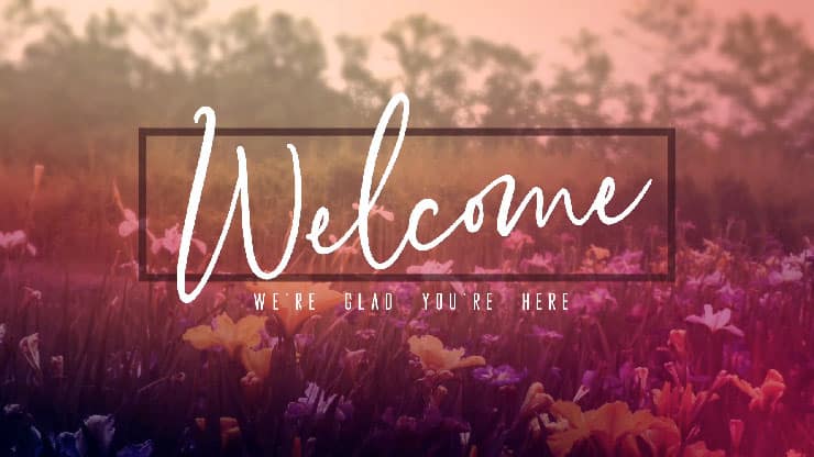 Wildflower Collection: Welcome