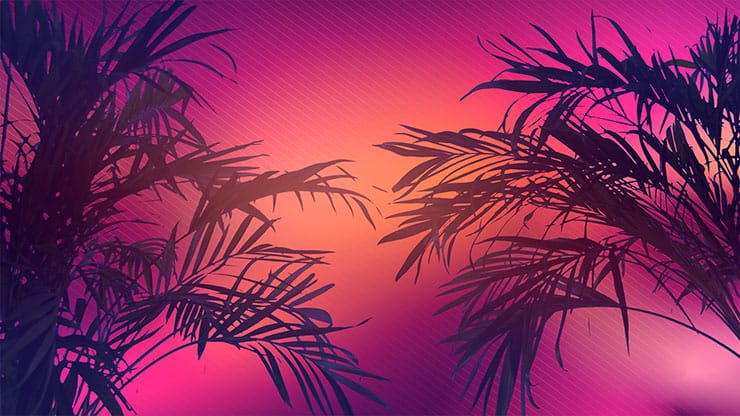 Sun Palms Collection: 10