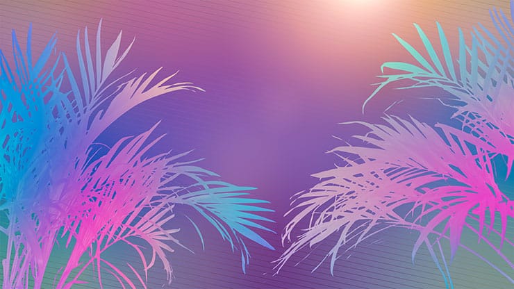 Sun Palms Collection: 12