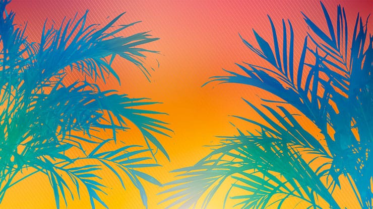 Sun Palms Collection: 1