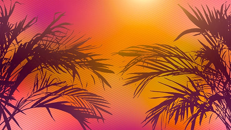 Sun Palms Collection: 3