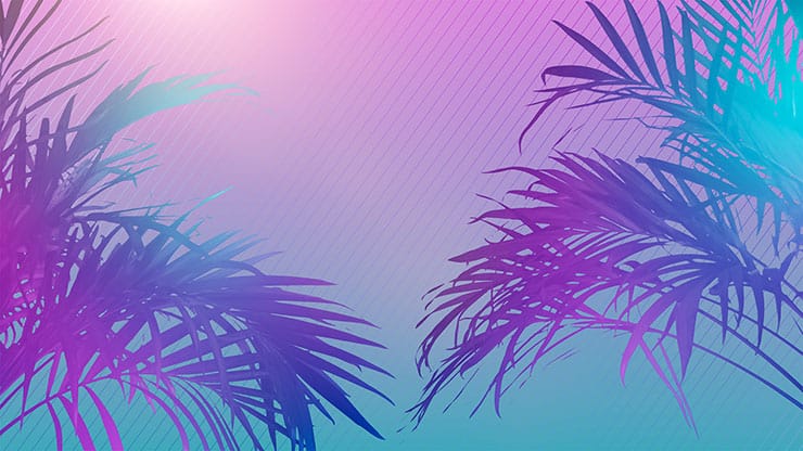 Sun Palms Collection: 4